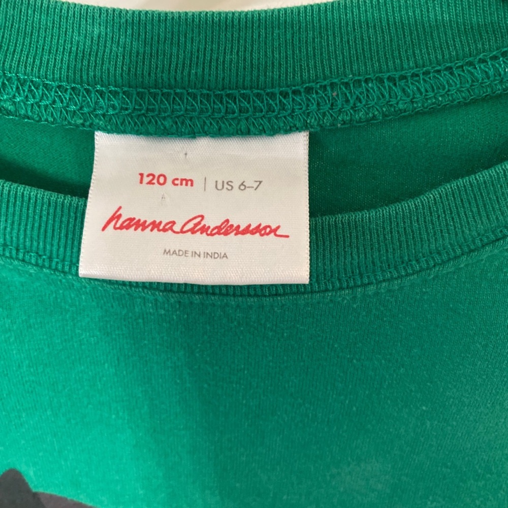 Hanna Andersson Green Tee with Geometric Bear - Picture 4 of 5